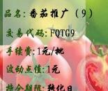 寿光果菜品种权番茄推广（9）